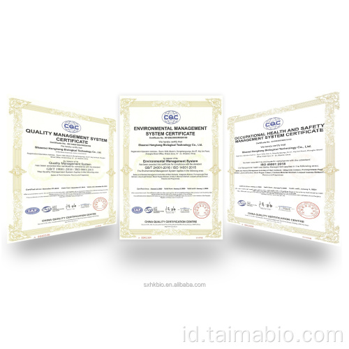 100% pemanis alami bubuk stachyose